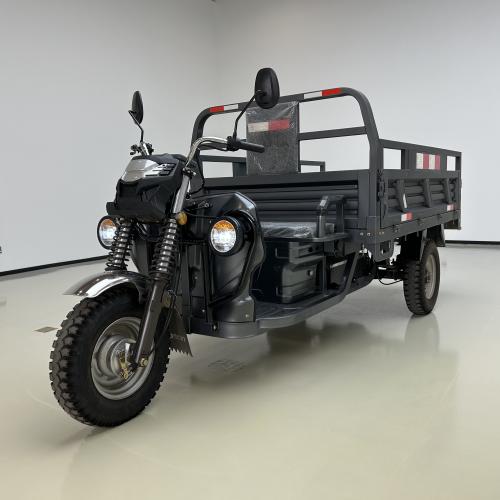 Electric tricycle - STRIKER